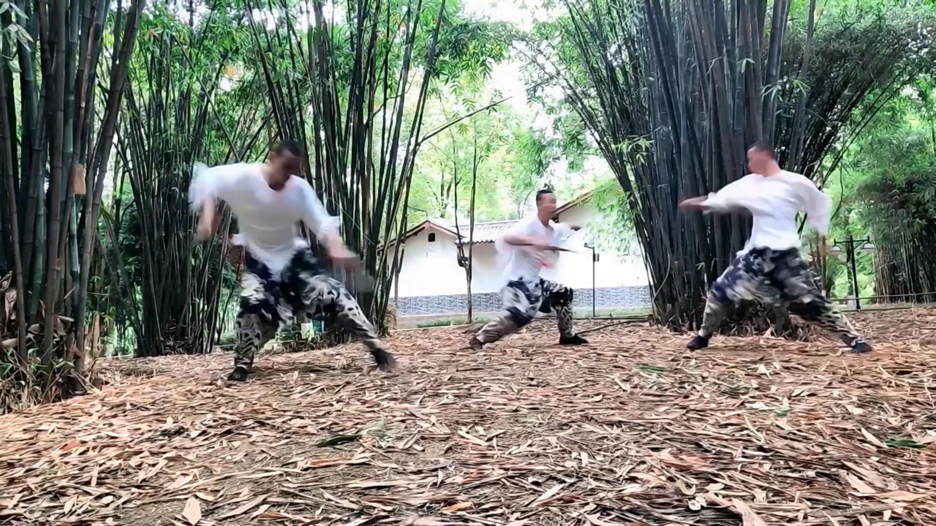 这样的武侠风你们喜欢吗 (上集)